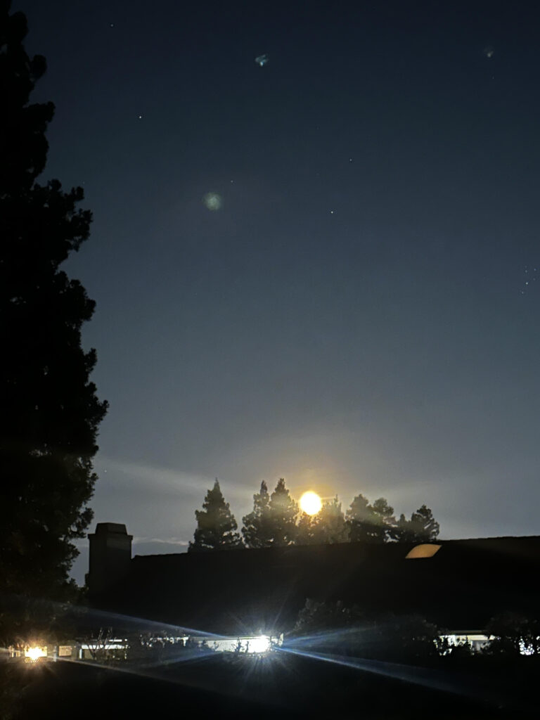 Moon rising through trees and over a dead end street